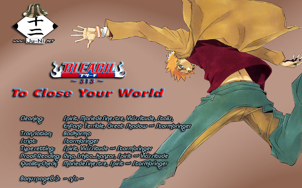 Bleach Chapter 313 page 1 - Chapter 313: To Close Your World