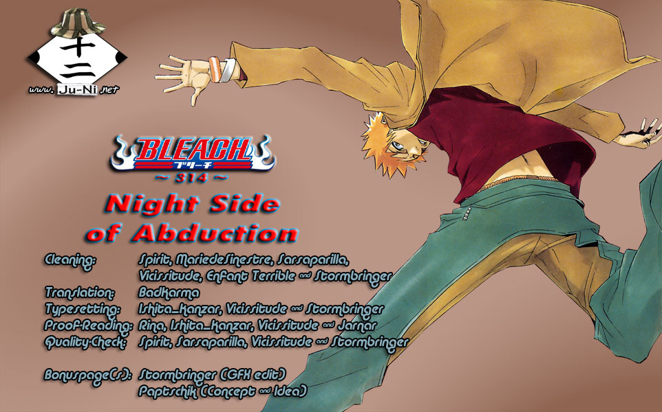 Bleach Chapter 314 page 1 - Chapter 314: Night Side of Abduction
