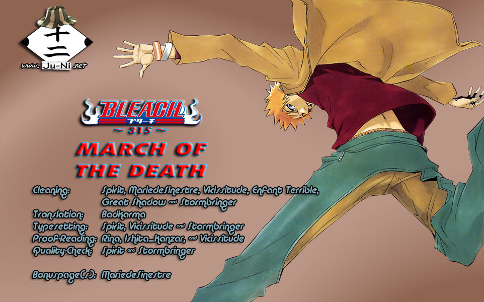 Bleach manga, chapter 315, page 1 of 19