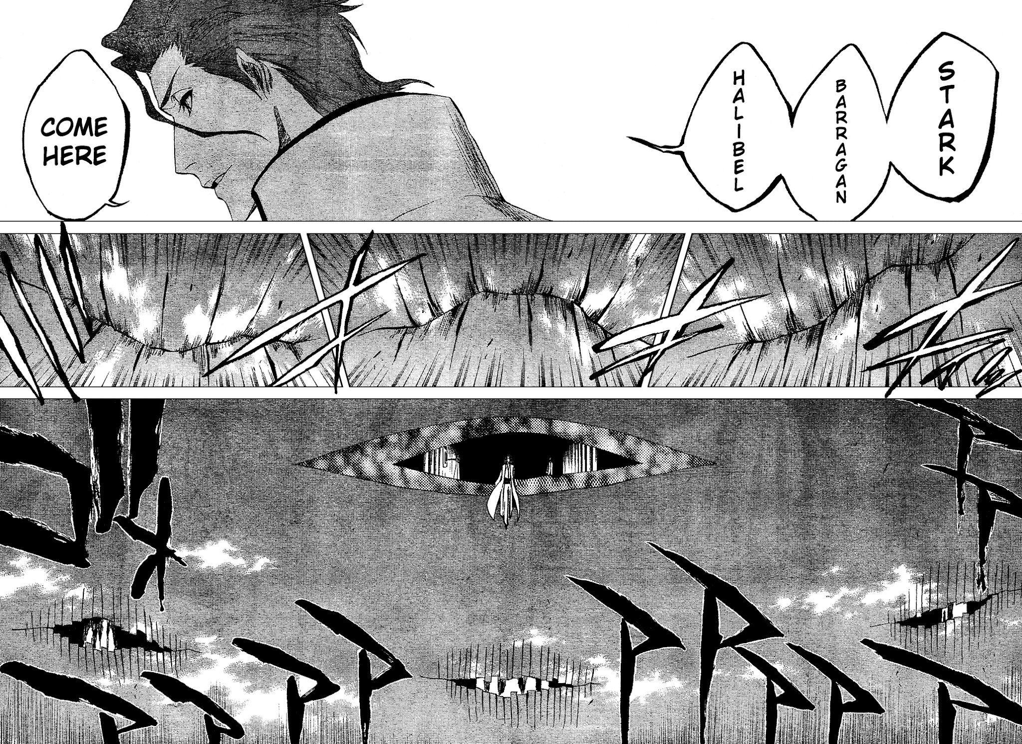 Bleach manga, chapter 315, page 11 of 19
