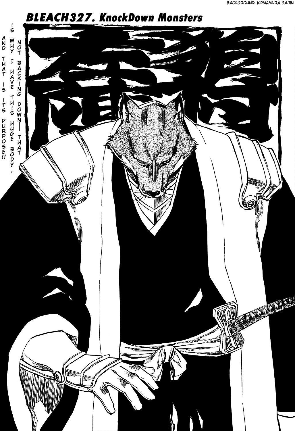 Bleach manga, chapter 327, page 13 of 19