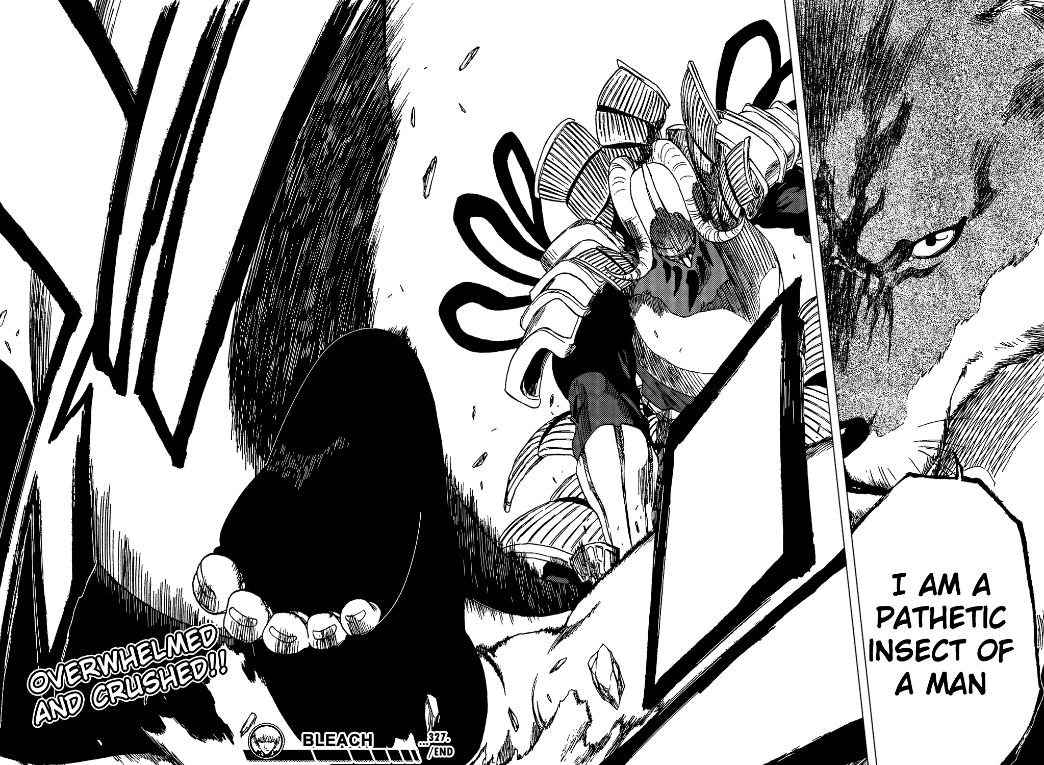 Bleach manga, chapter 327, page 19 of 19