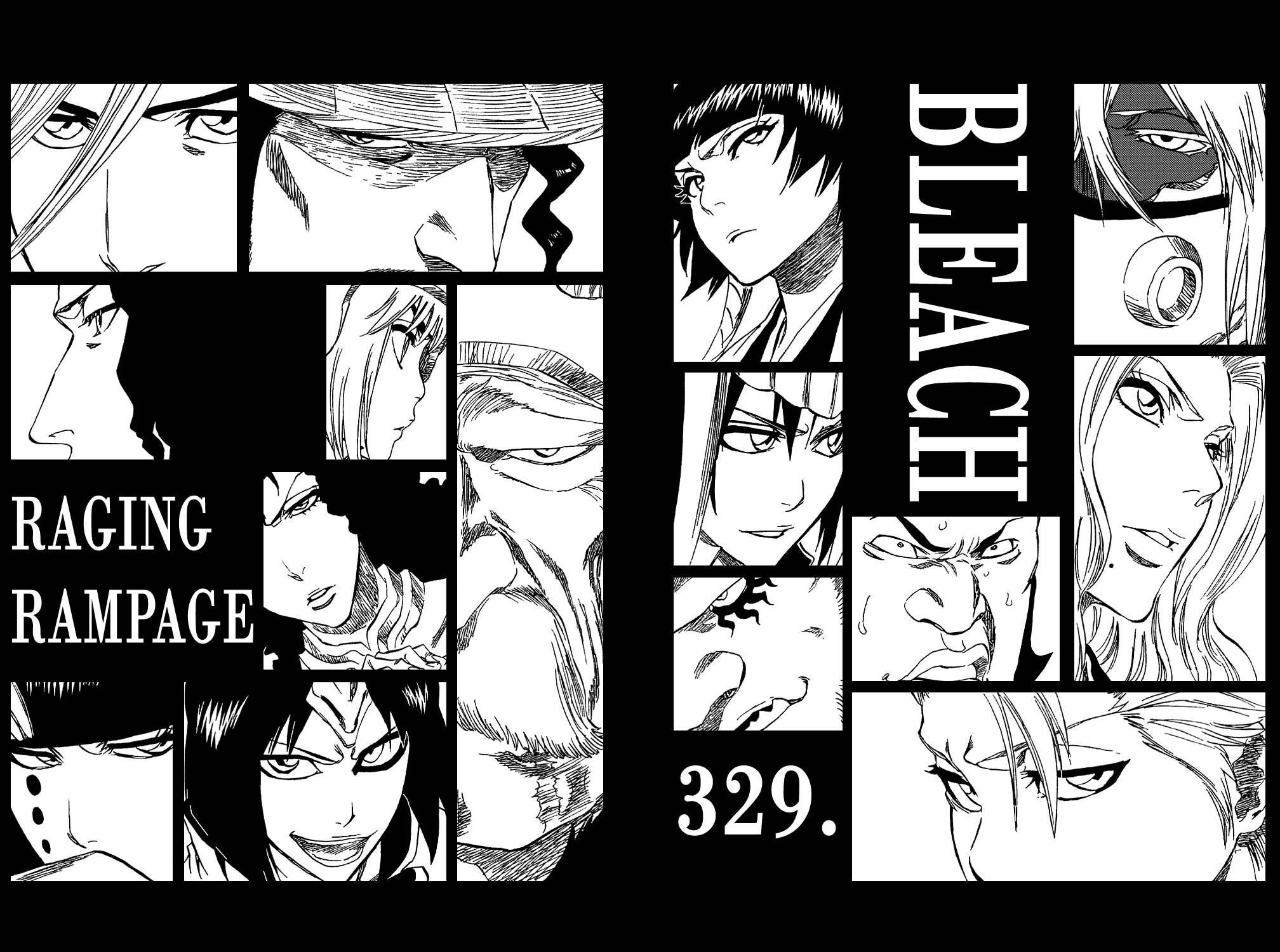 Bleach manga, chapter 329, page 11 of 20