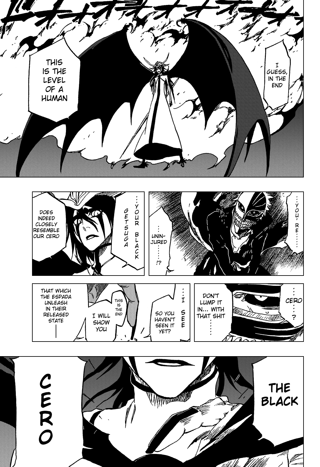 Bleach manga, chapter 346, page 20 of 21