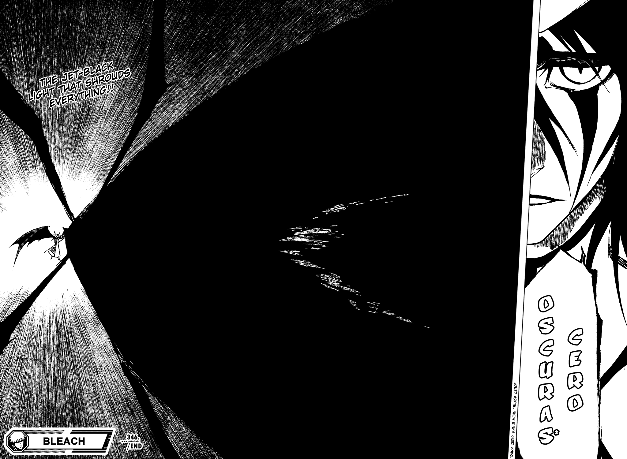 Bleach manga, chapter 346, page 21 of 21