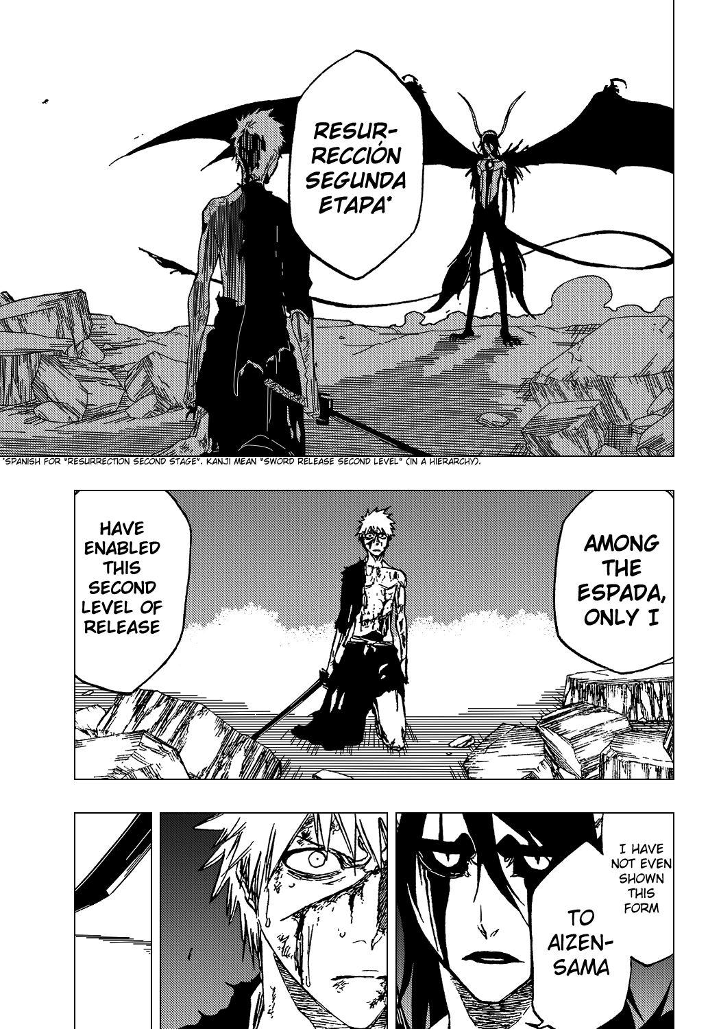 Bleach manga, chapter 348, page 11 of 24