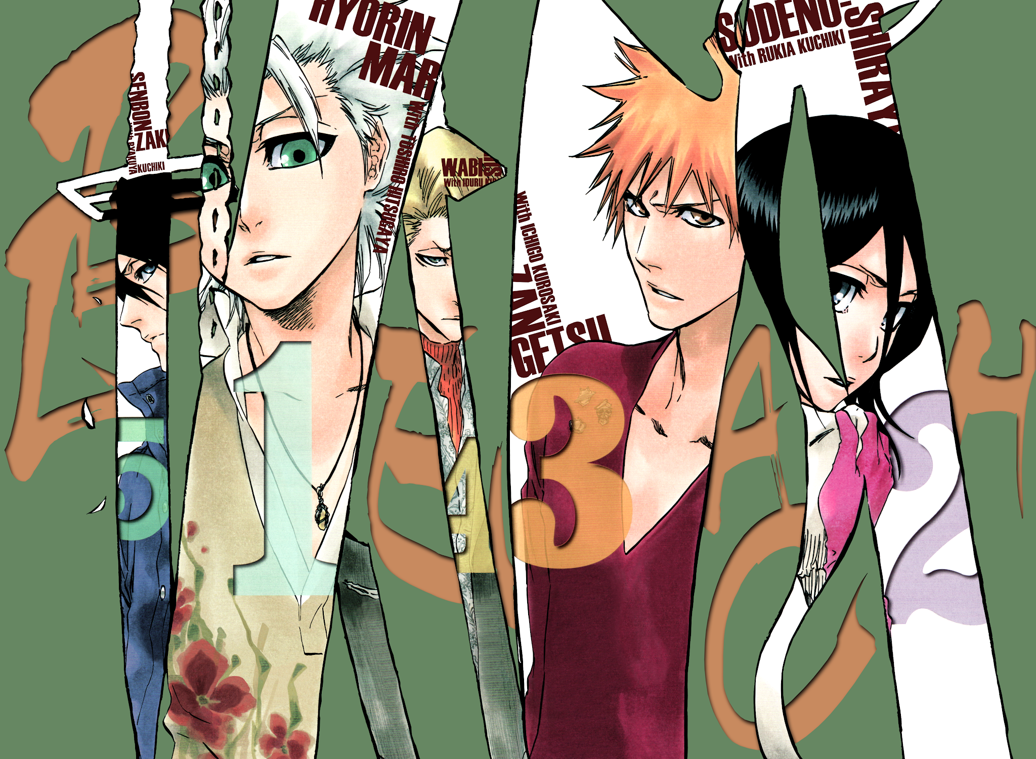 Bleach manga, chapter 348, page 24 of 24