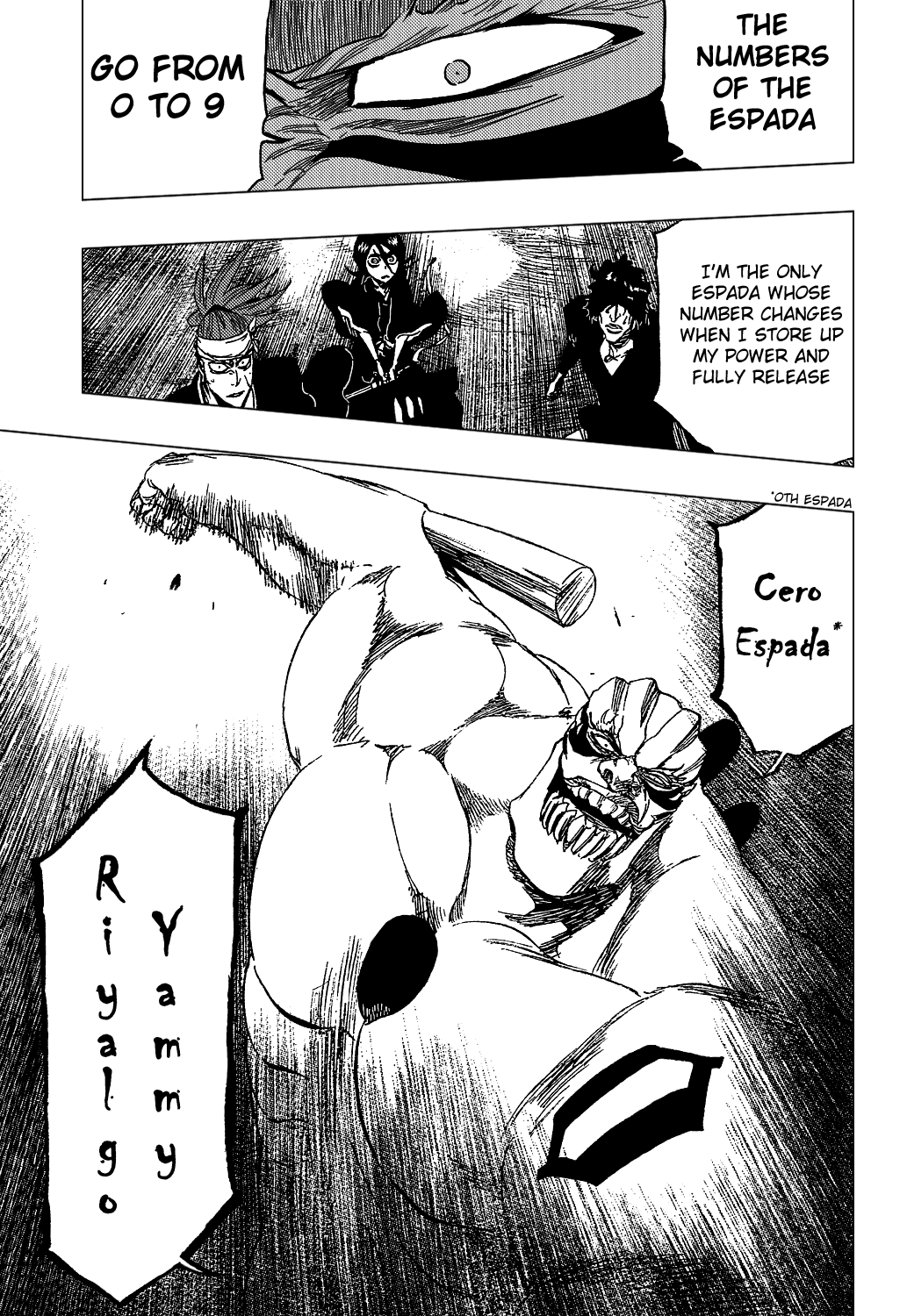 Bleach manga, chapter 354, page 19 of 21