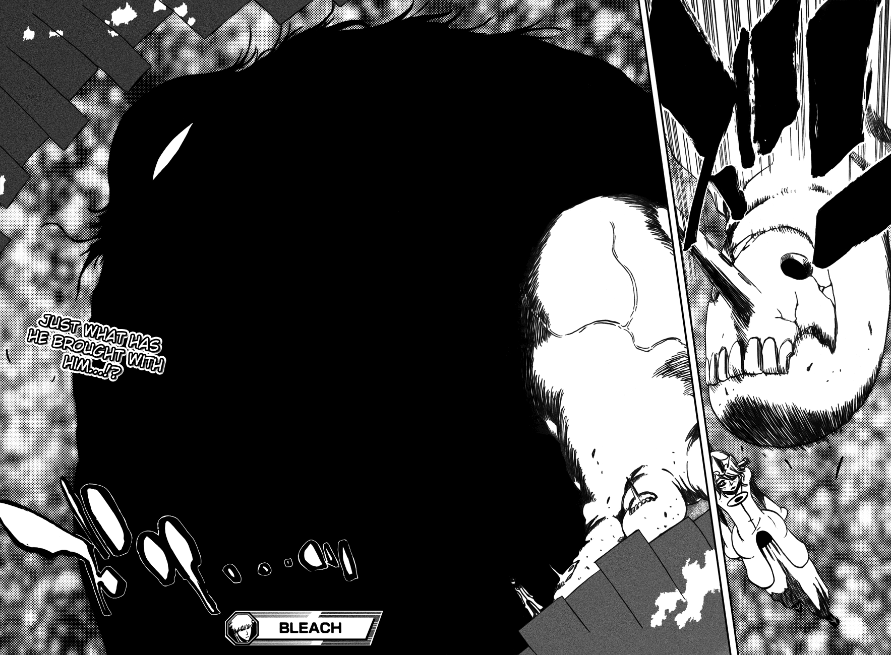 Bleach manga, chapter 363, page 22 of 22
