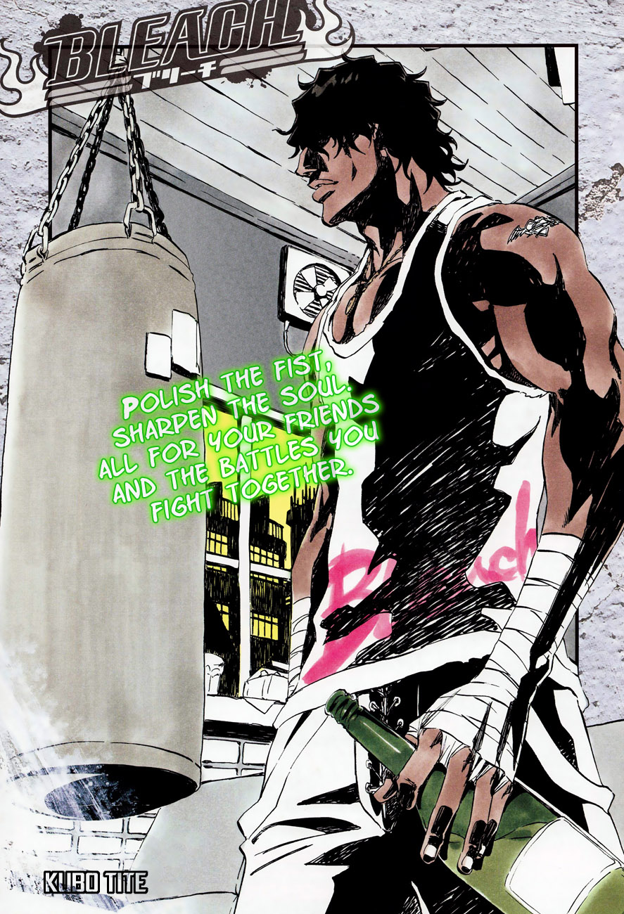 Bleach manga, chapter 363, page 3 of 22