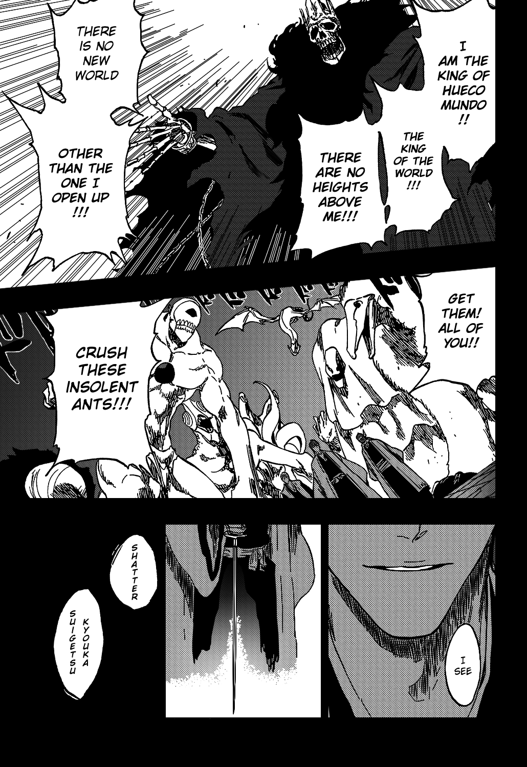 Bleach manga, chapter 371, page 14 of 21