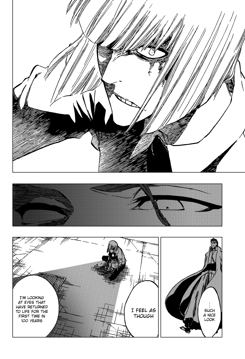 Bleach manga, chapter 383, page 13 of 20