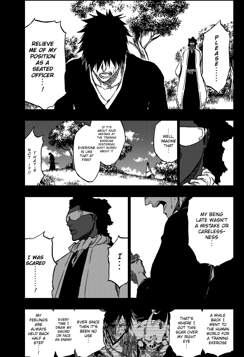 Bleach manga, chapter 384, page 18 of 22
