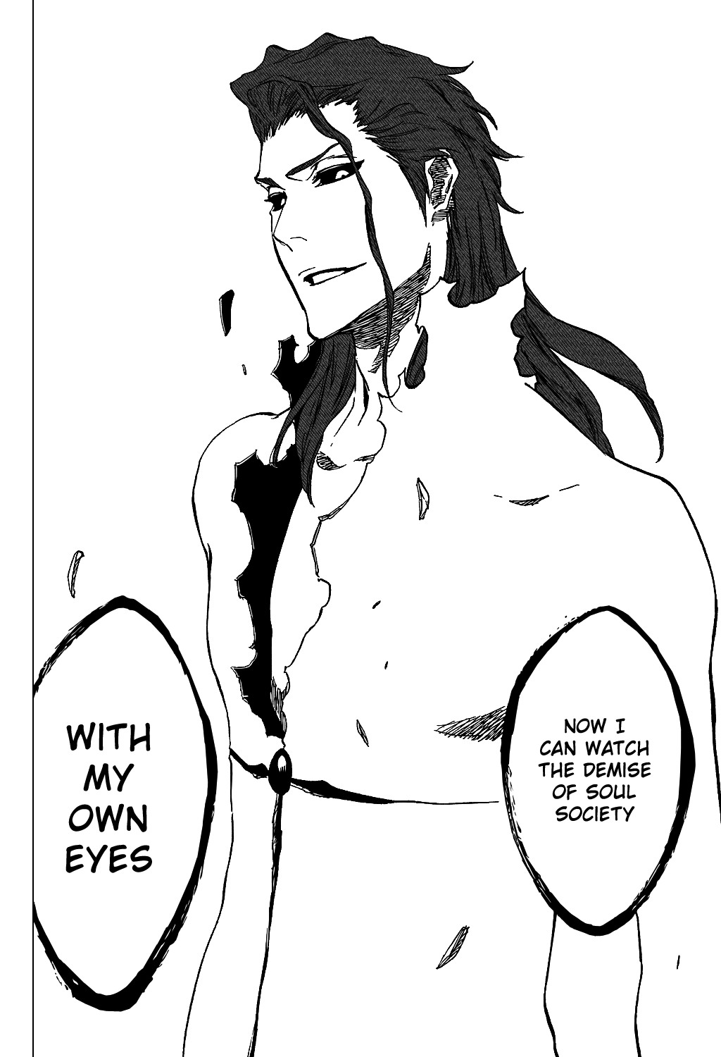Bleach manga, chapter 406, page 19 of 22