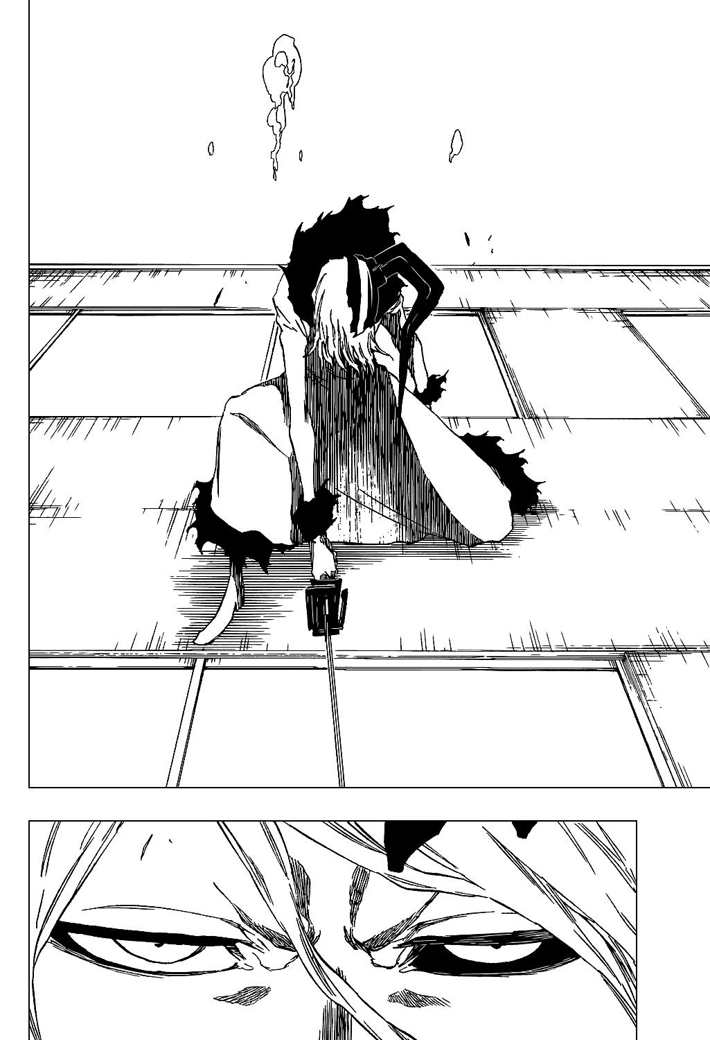 Bleach manga, chapter 411, page 12 of 24