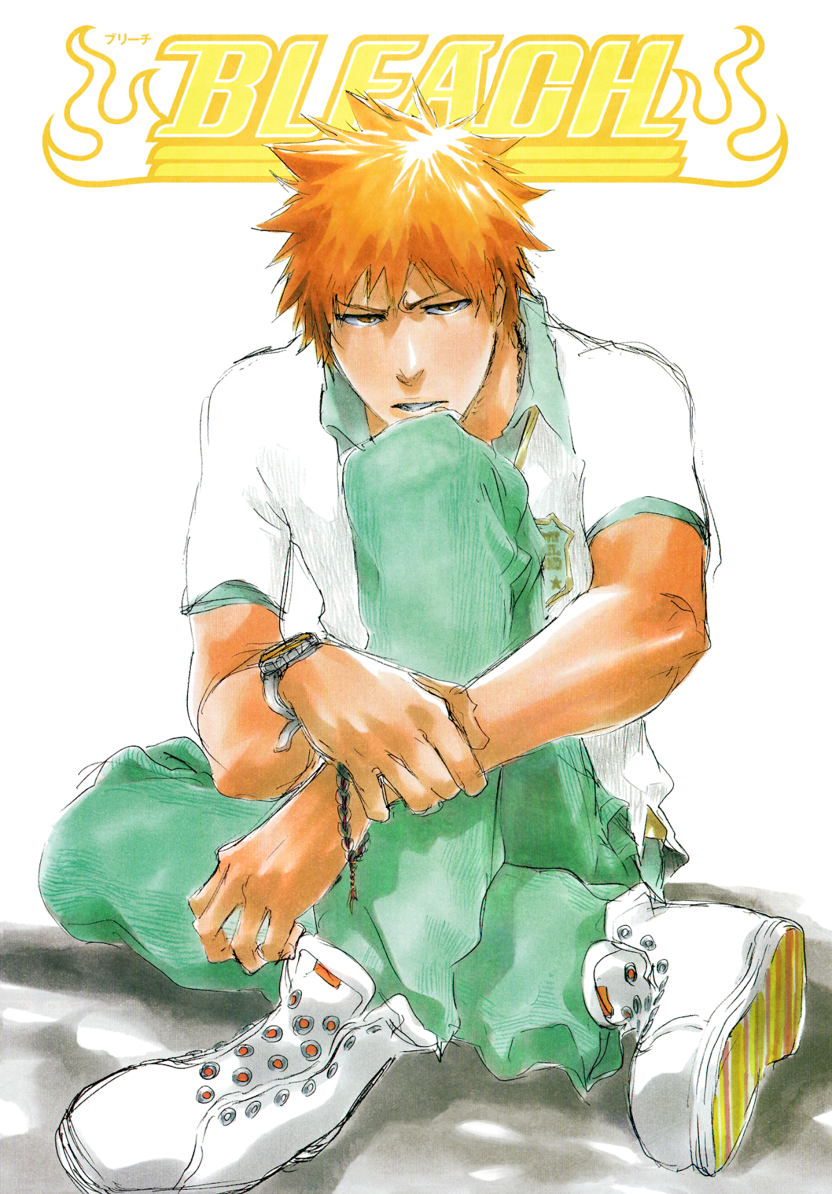 Bleach manga, chapter 411, page 24 of 24
