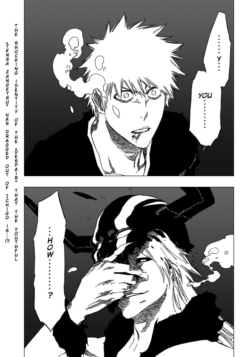 Bleach manga, chapter 411, page 5 of 24