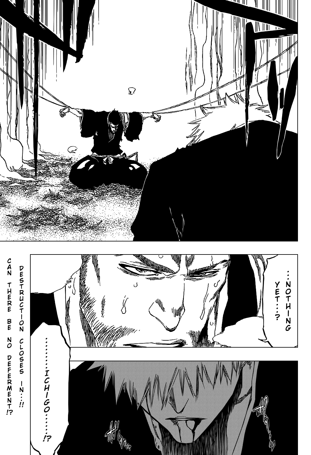 Bleach manga, chapter 412, page 22 of 22