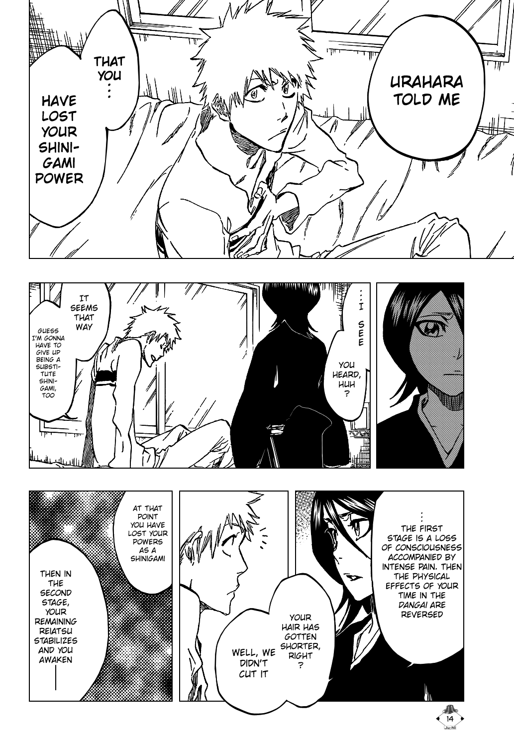 Bleach manga, chapter 423, page 17 of 22