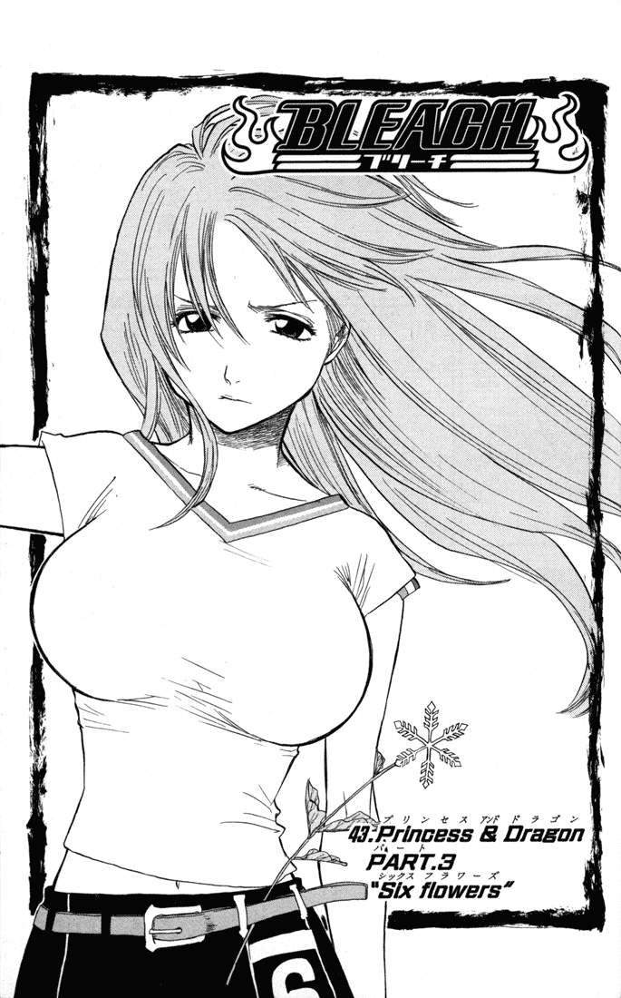 Bleach Chapter 43 page 5 - Chapter 43: Princess & Dragon Part 3: Six Flowers