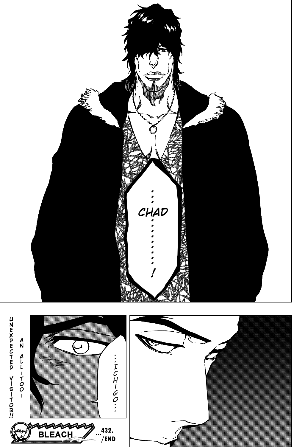 Bleach manga, chapter 432, page 22 of 22