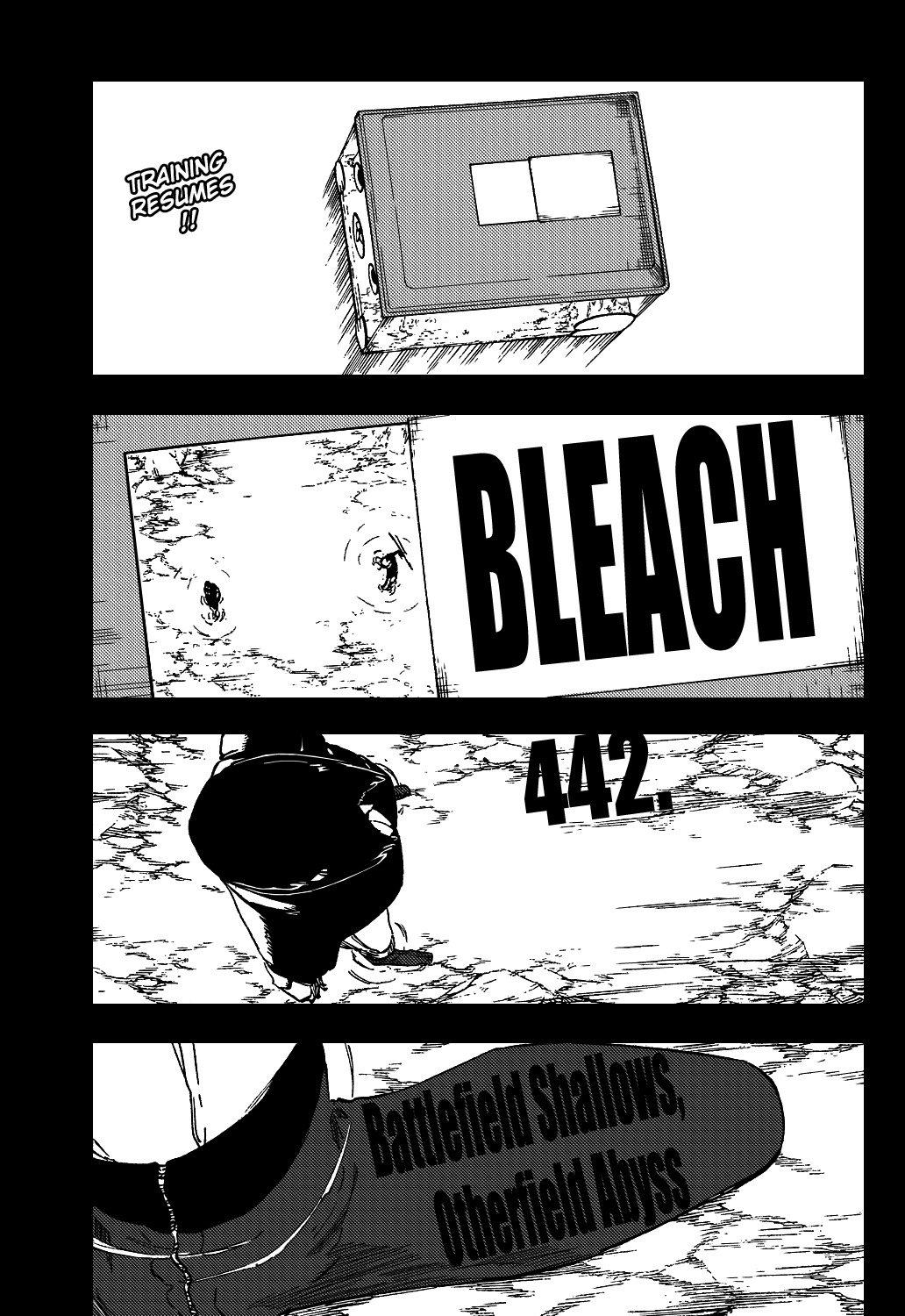 Bleach Chapter 442 page 6 - Chapter 442 : Battlefield Shallows, Otherfield Abyss