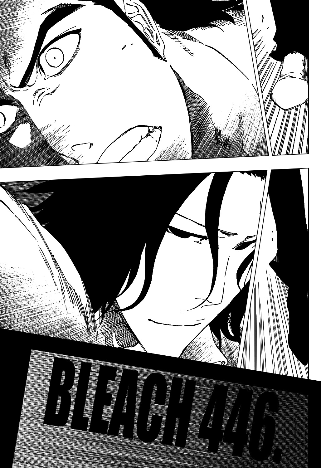 Bleach manga, chapter 446, page 10 of 22