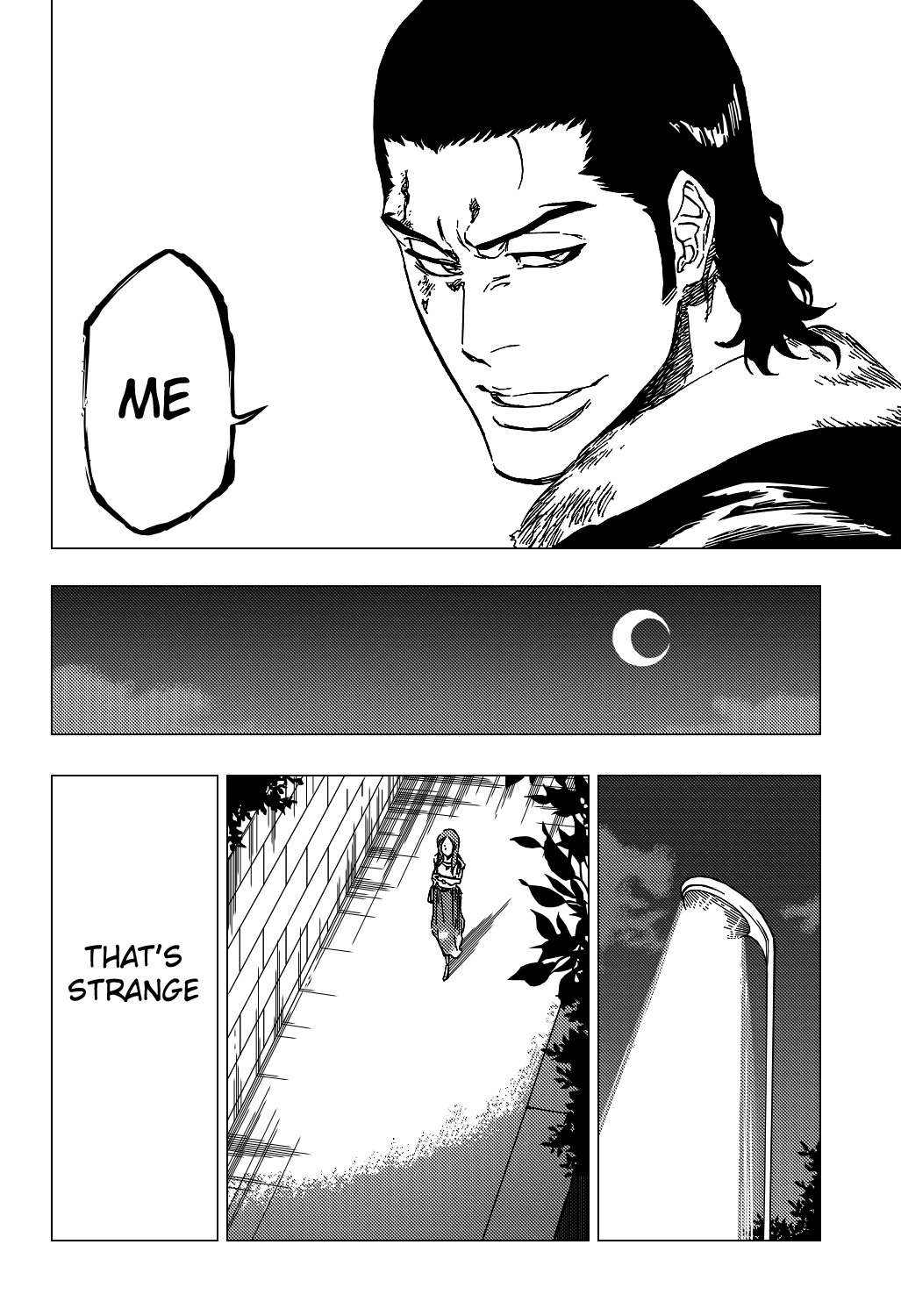 Bleach manga, chapter 447, page 19 of 22