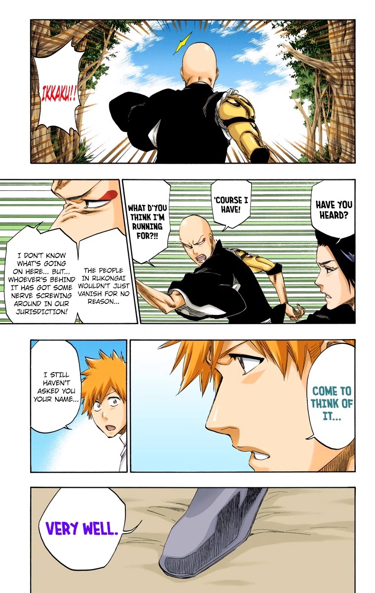 Bleach manga, chapter 481, page 16 of 19