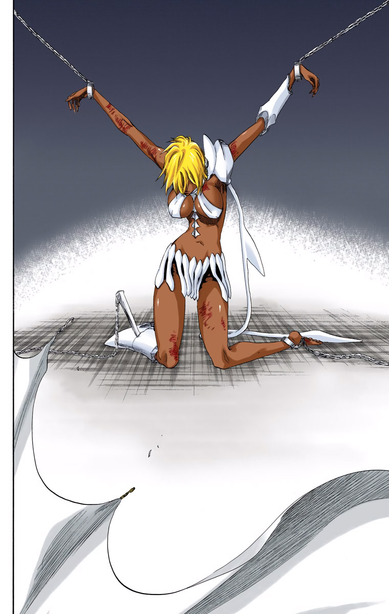 Bleach manga, chapter 485, page 18 of 20