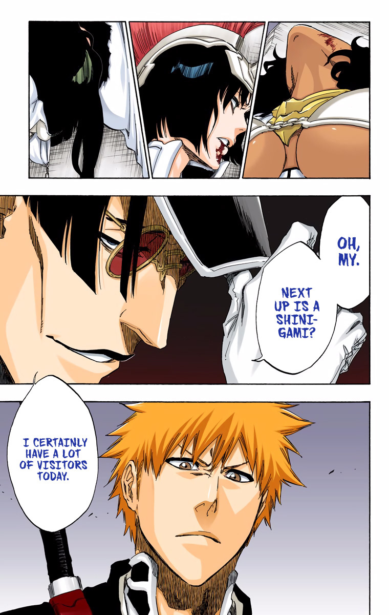 Bleach manga, chapter 488, page 19 of 20