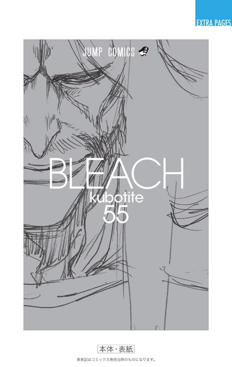 Bleach manga, chapter 489, page 22 of 23