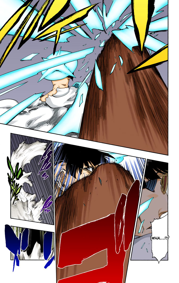 Bleach manga, chapter 491, page 17 of 20