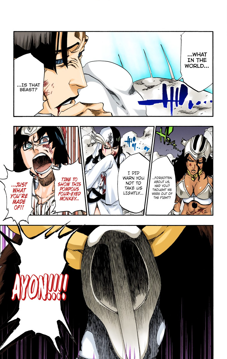 Bleach manga, chapter 491, page 19 of 20