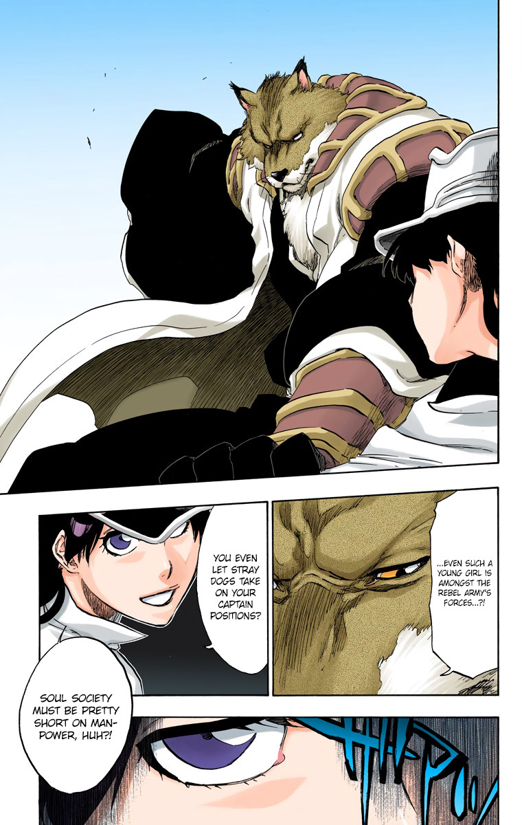 Bleach manga, chapter 495, page 15 of 20