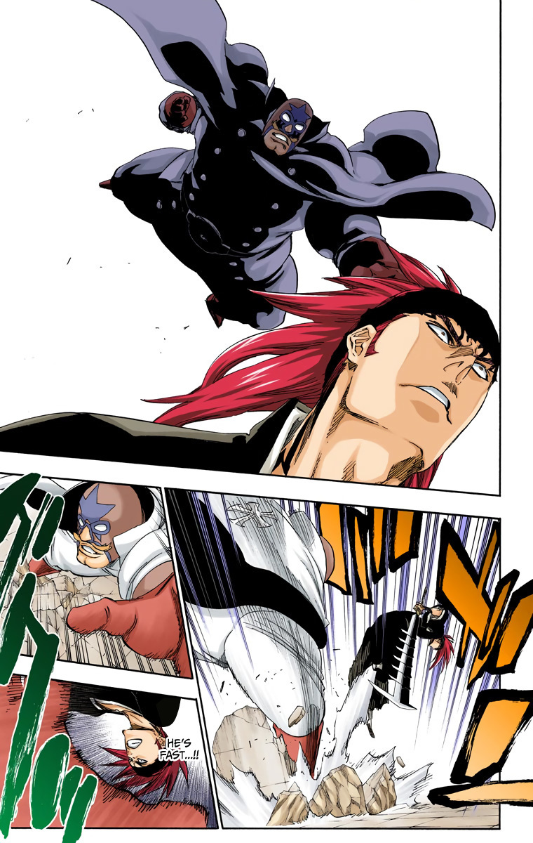 Bleach manga, chapter 495, page 17 of 20
