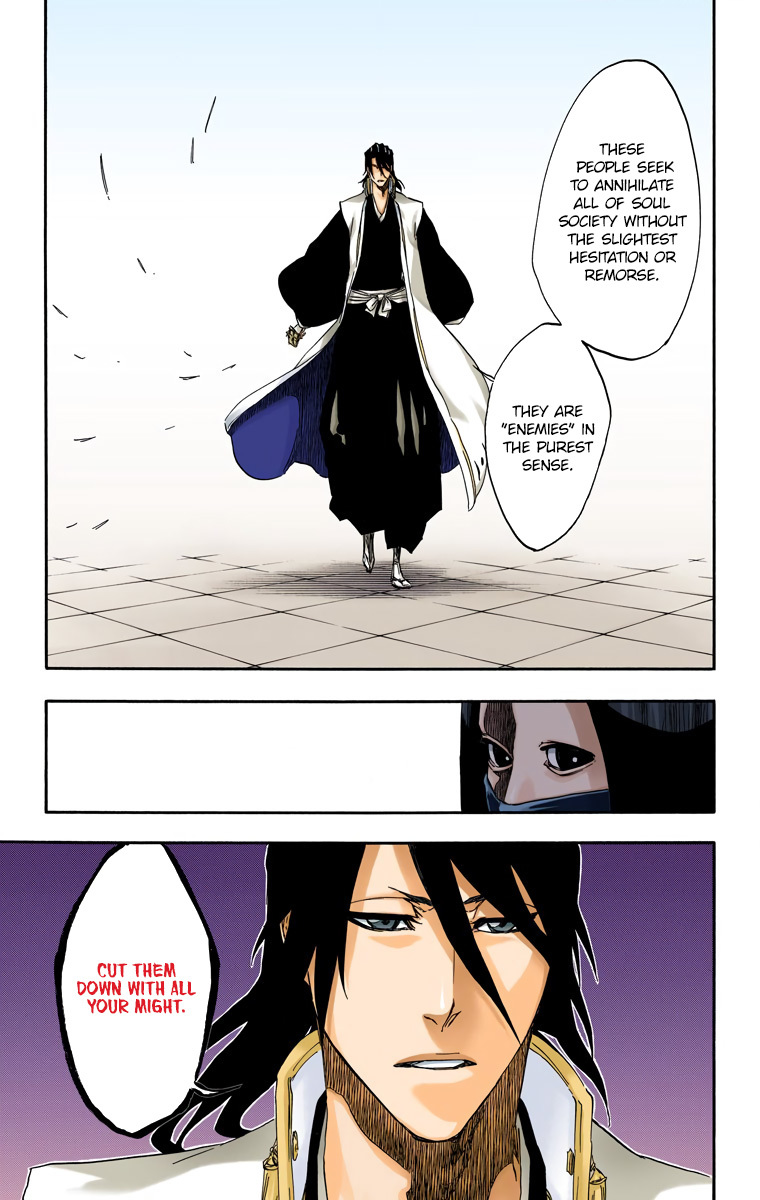 Bleach manga, chapter 495, page 19 of 20