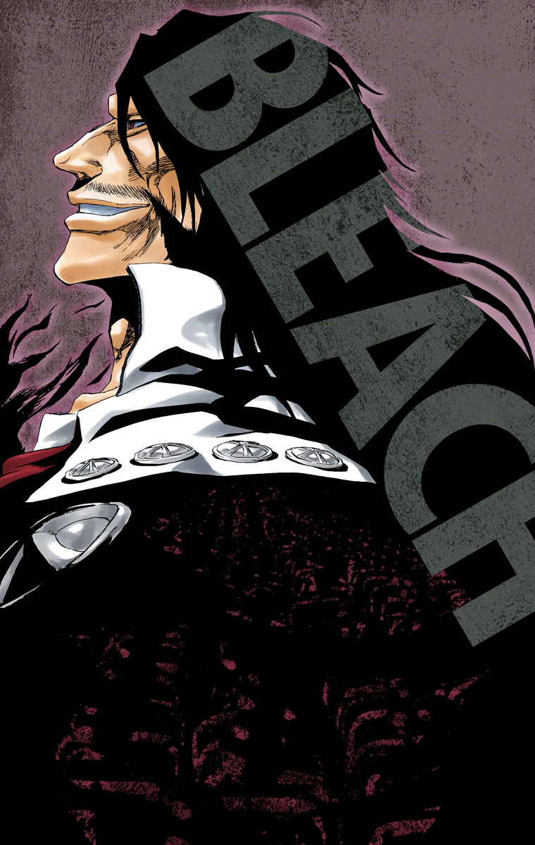 Bleach manga, chapter 495, page 3 of 20