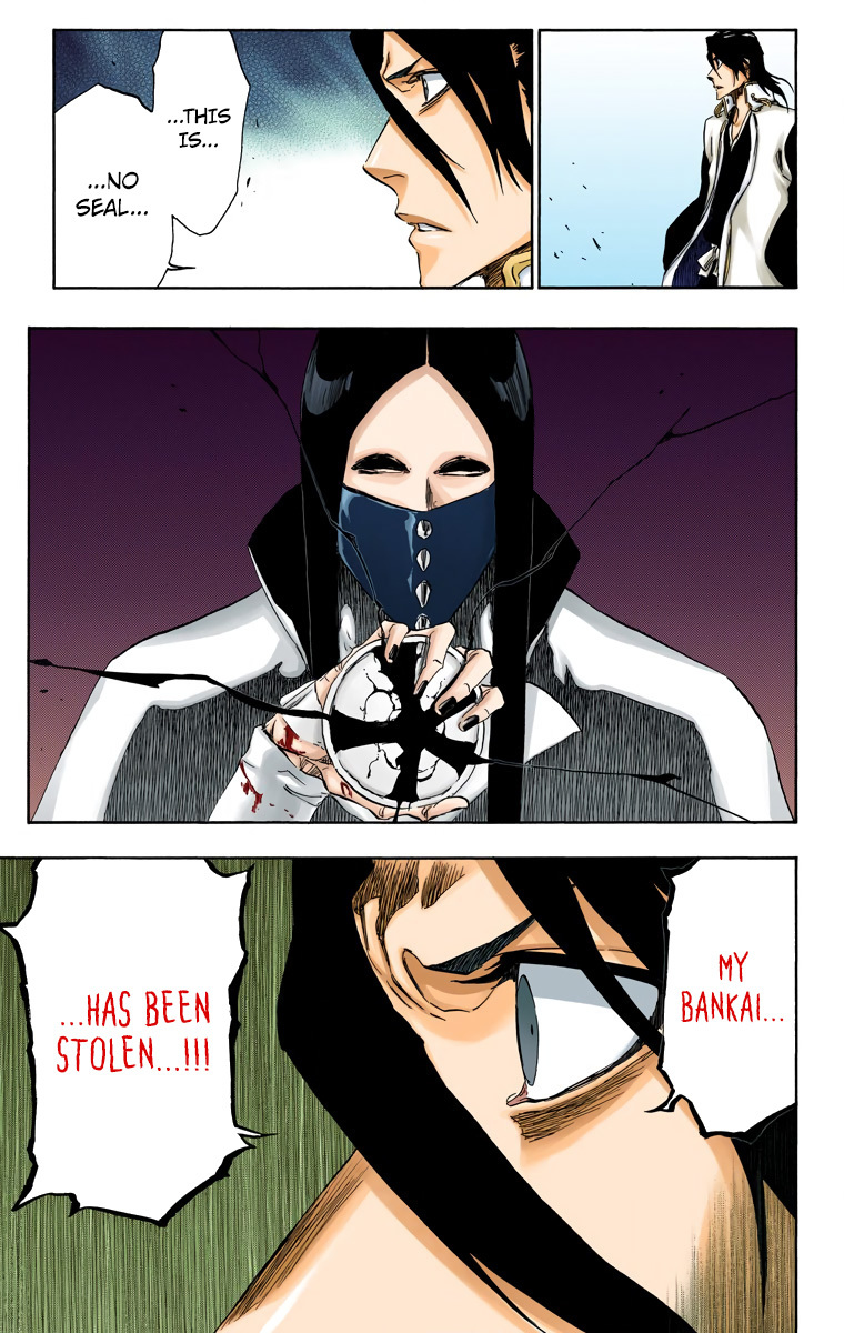 Bleach manga, chapter 496, page 17 of 18