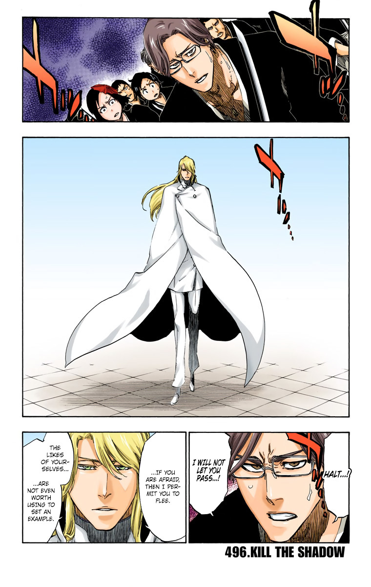 Bleach manga, chapter 496, page 2 of 18
