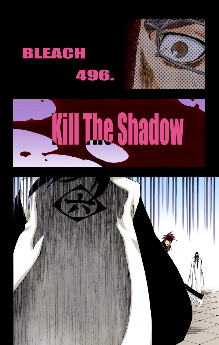 Bleach manga, chapter 496, page 5 of 18
