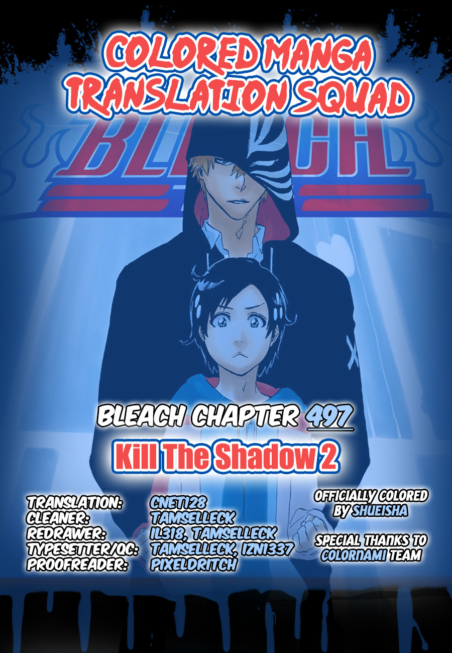 Bleach Chapter 497 page 1 - Chapter 497 : Kill the Shadow 2