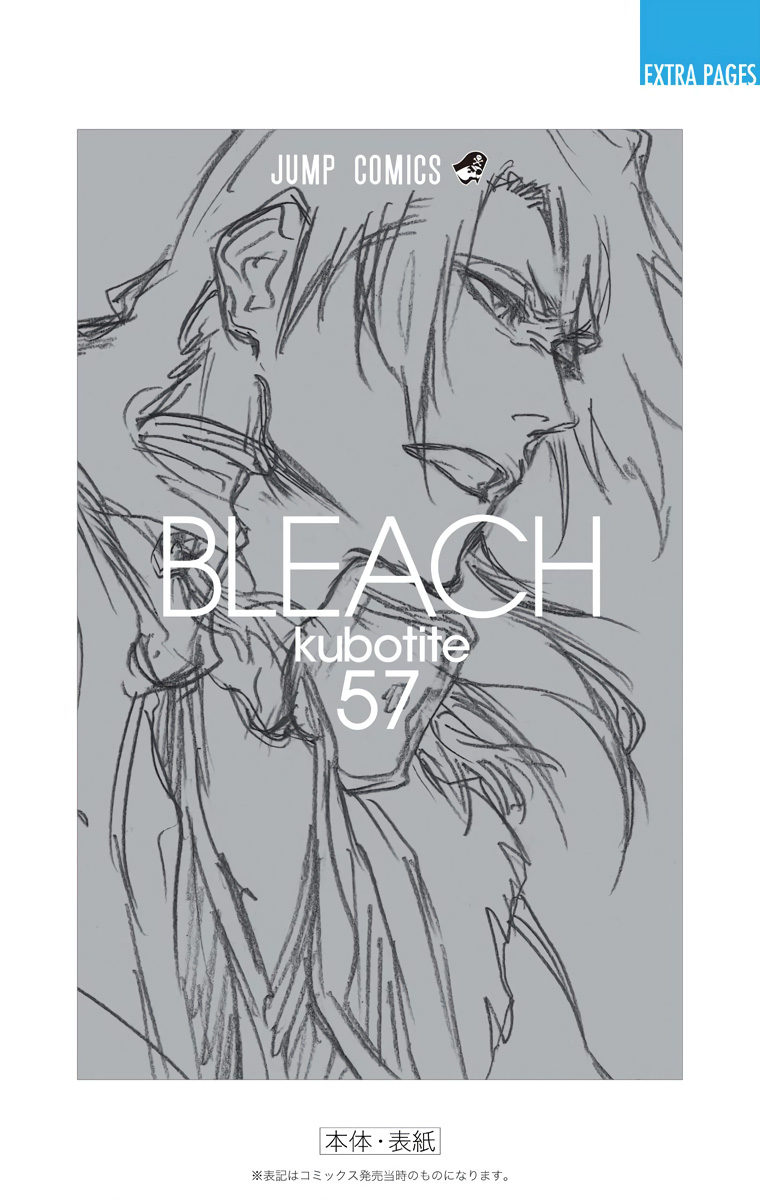 Bleach manga, chapter 509, page 22 of 23