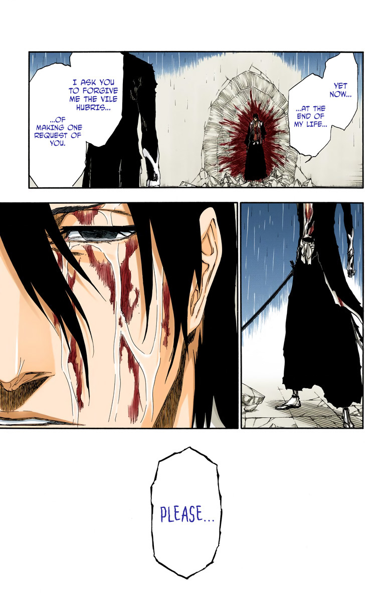Bleach manga, chapter 512, page 13 of 19