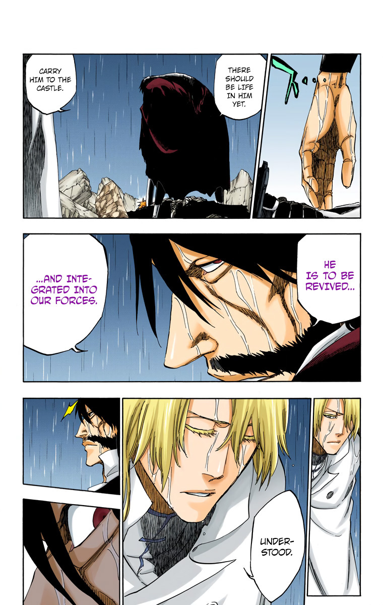Bleach manga, chapter 513, page 16 of 19