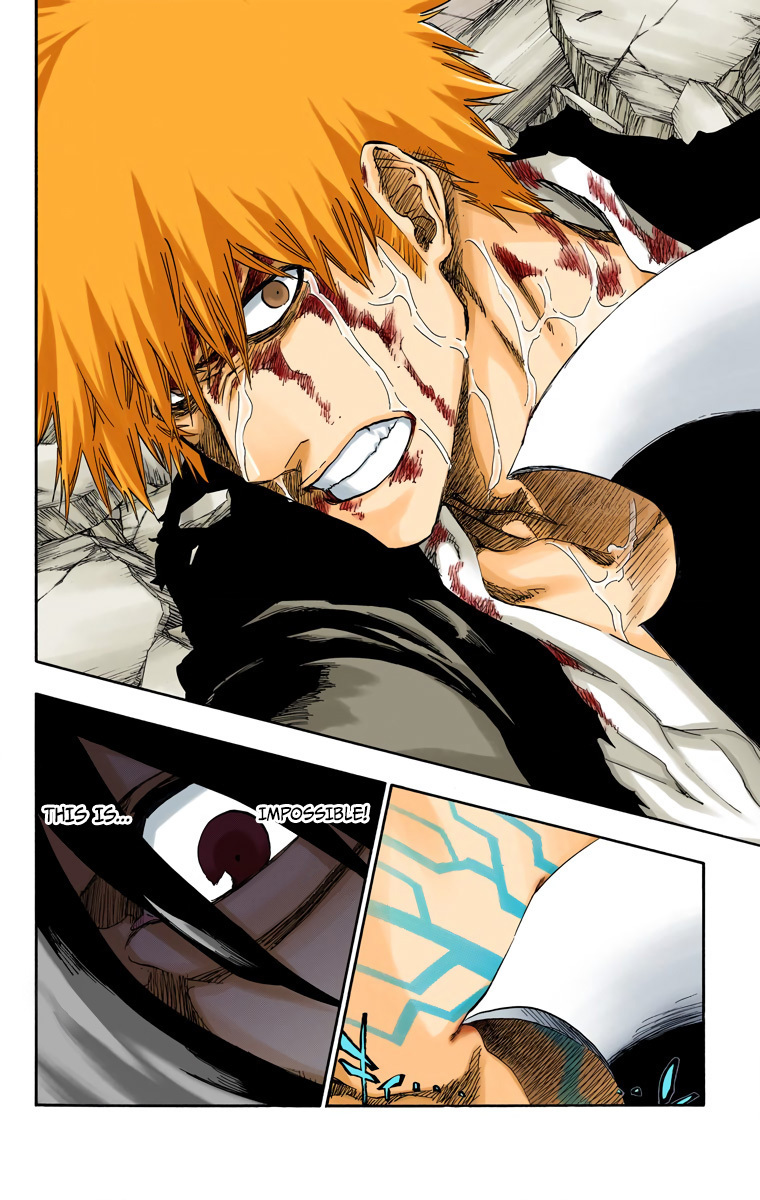 Bleach manga, chapter 513, page 17 of 19