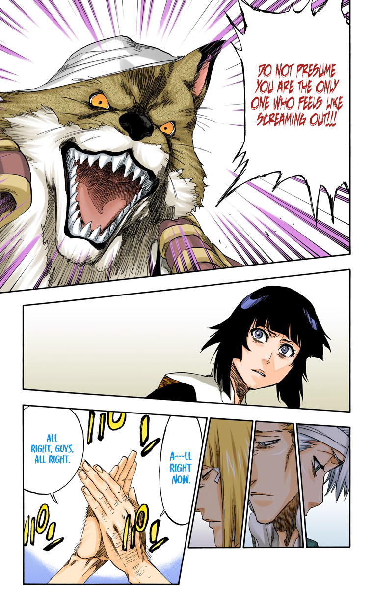 Bleach manga, chapter 515, page 17 of 20