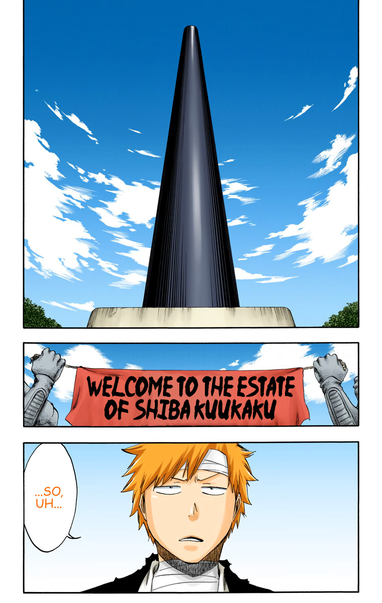 Bleach manga, chapter 518, page 13 of 19