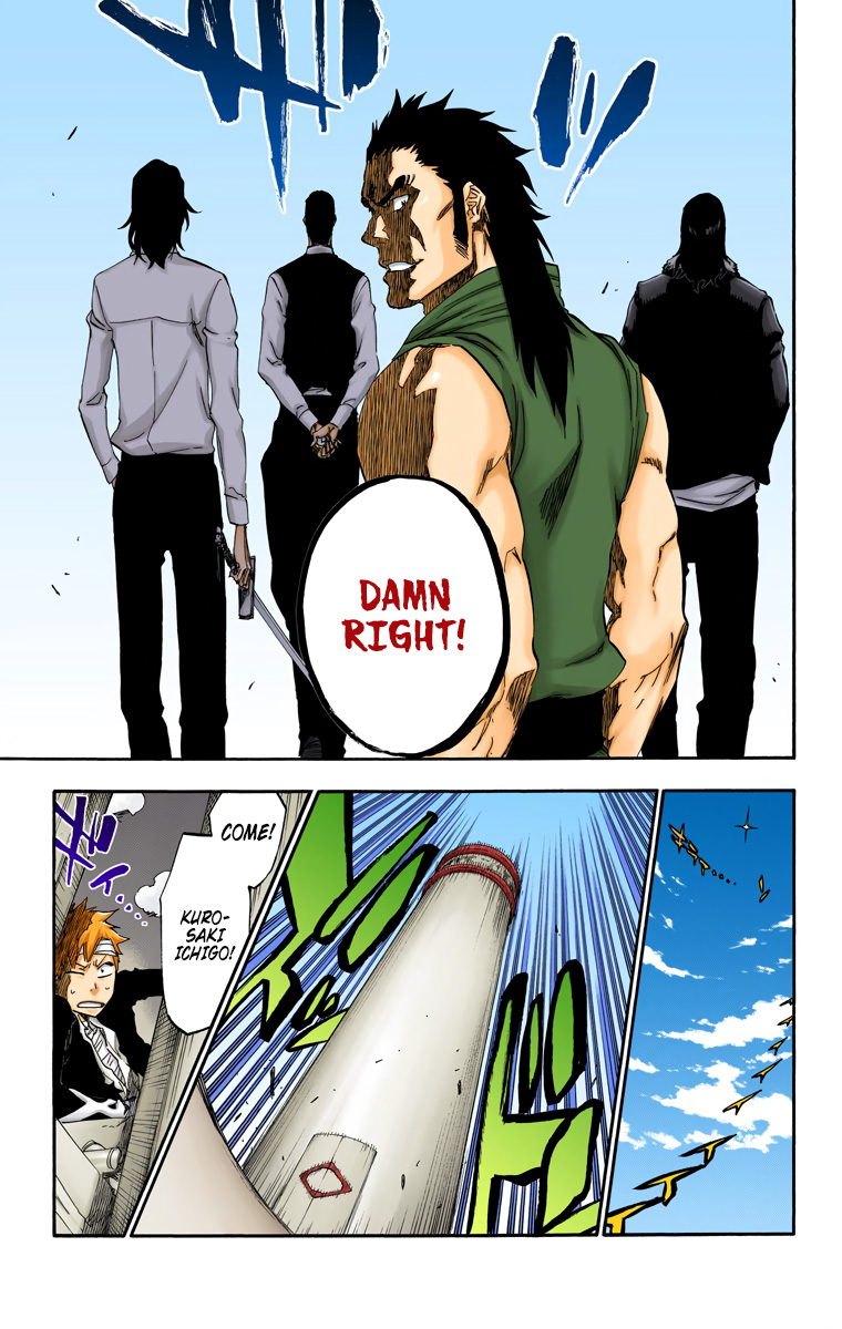 Bleach manga, chapter 518, page 17 of 19