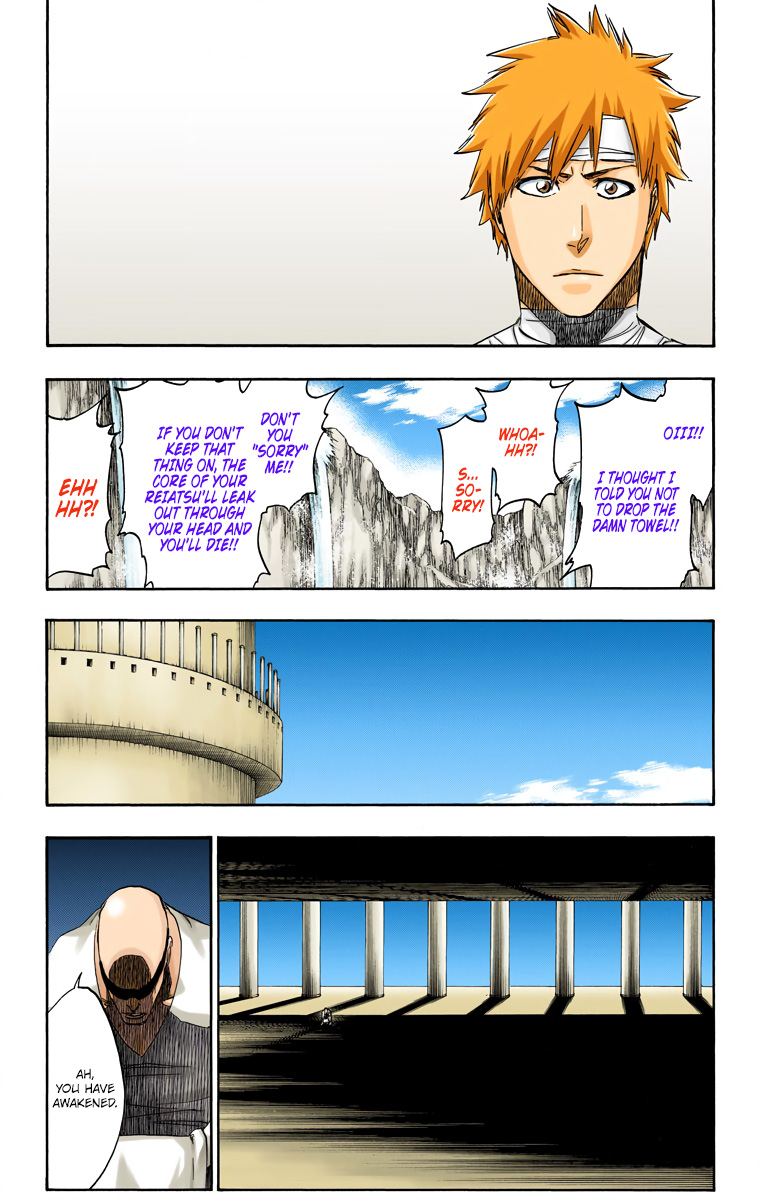 Bleach manga, chapter 519, page 17 of 19
